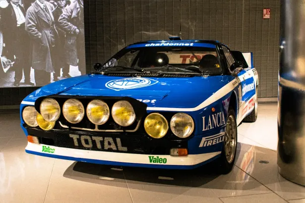 Casino Dogs Fortune Aip Android/iOS