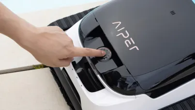 Casino Dogs Fortune Aip Soghluaiste